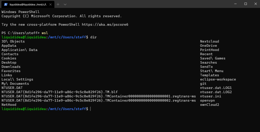 04 Windows neues Terminal - perfekt zu Hacking - Was ist Hacking Definition Steffen Lippke - Hacking Series