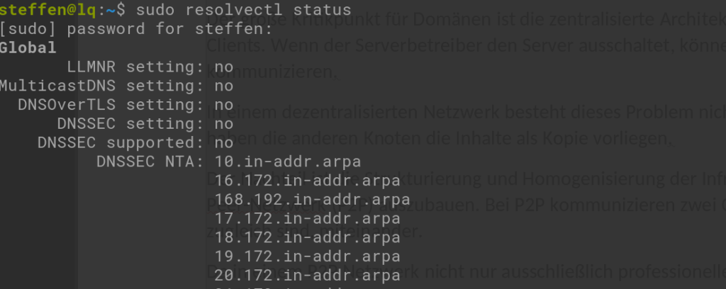 DNS Cache - Domäne Internet Netzwerk Steffen Lippke