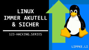 Linux updaten - Steffen Lippke Hacking and Security Tutorials